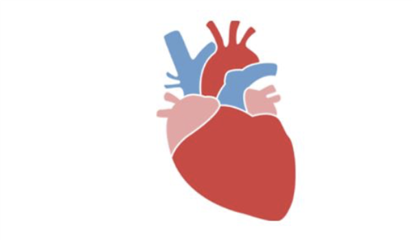 heart picture